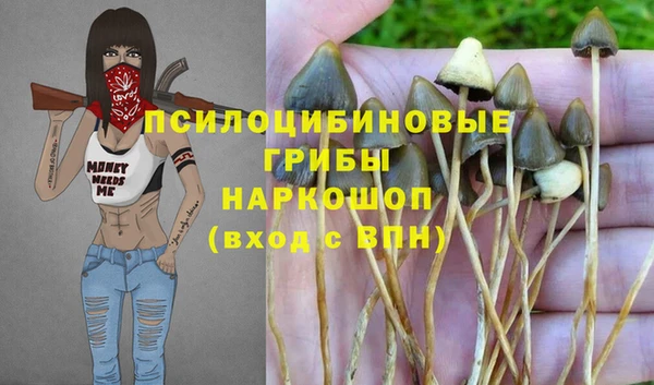 круглые Ладушкин