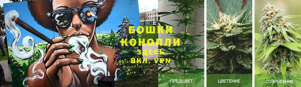 круглые Ладушкин