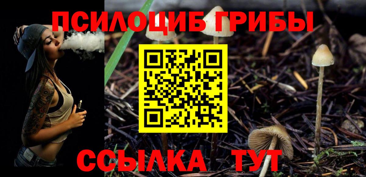 Кудымкар  Псилоцибиновые грибы мухоморы  Псилоцибиновые грибы MAGIC MUSHROOMS  Вход с VPN 