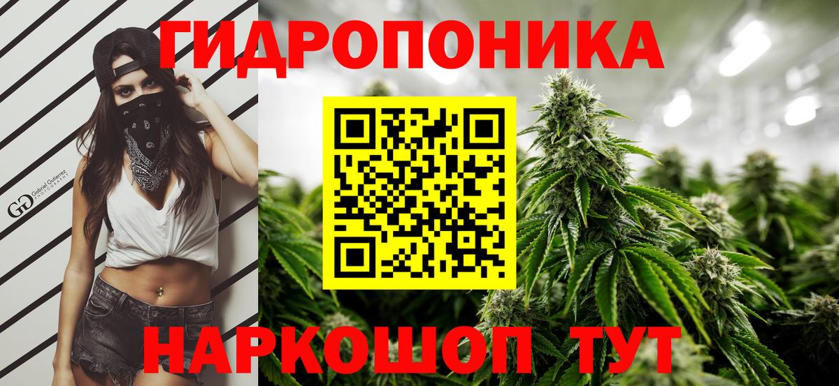Канабис марихуана  Вход с VPN  Бошки марихуана White Widow  Конопля AK-47  Кудымкар 